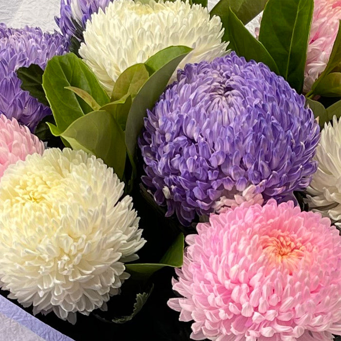 Pompom