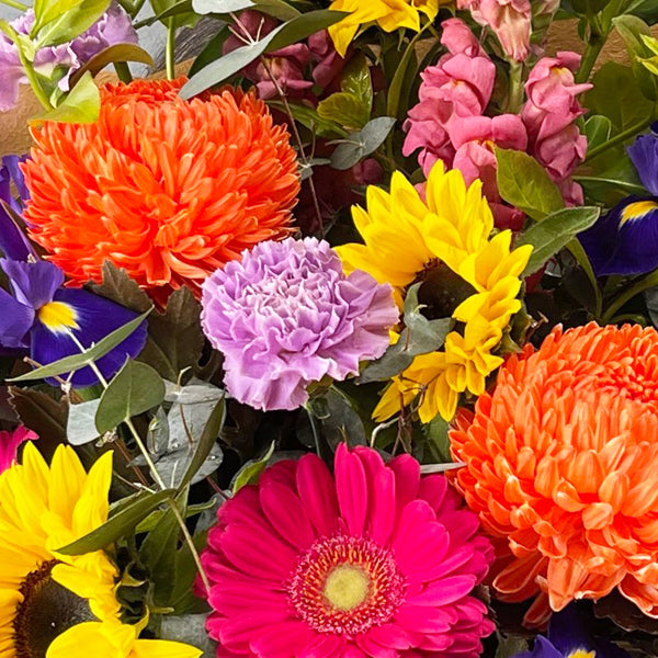 A Touch of Colour