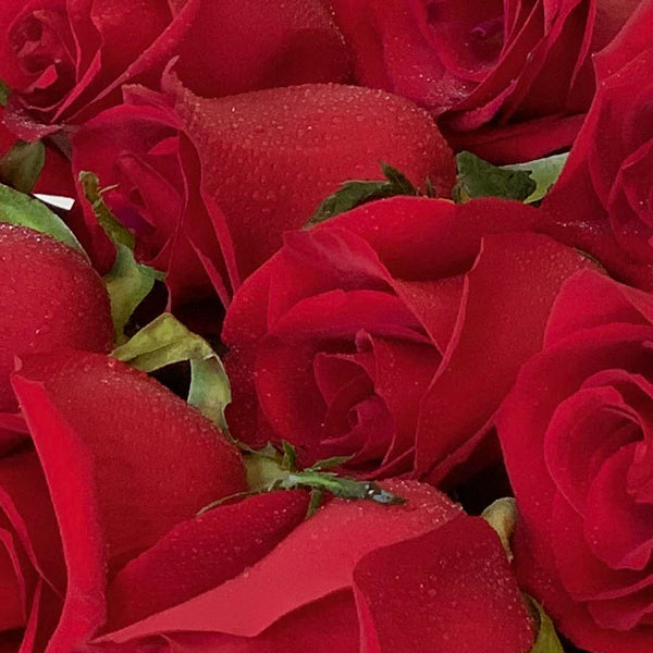 12 Reasons I Love You